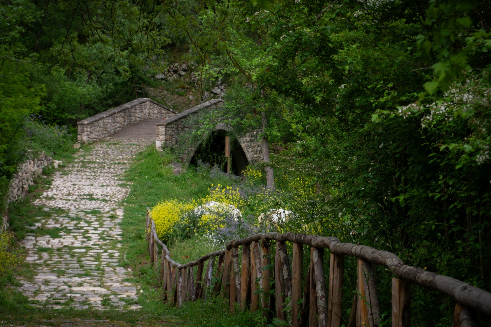 giorgio-lagozino-P3-001