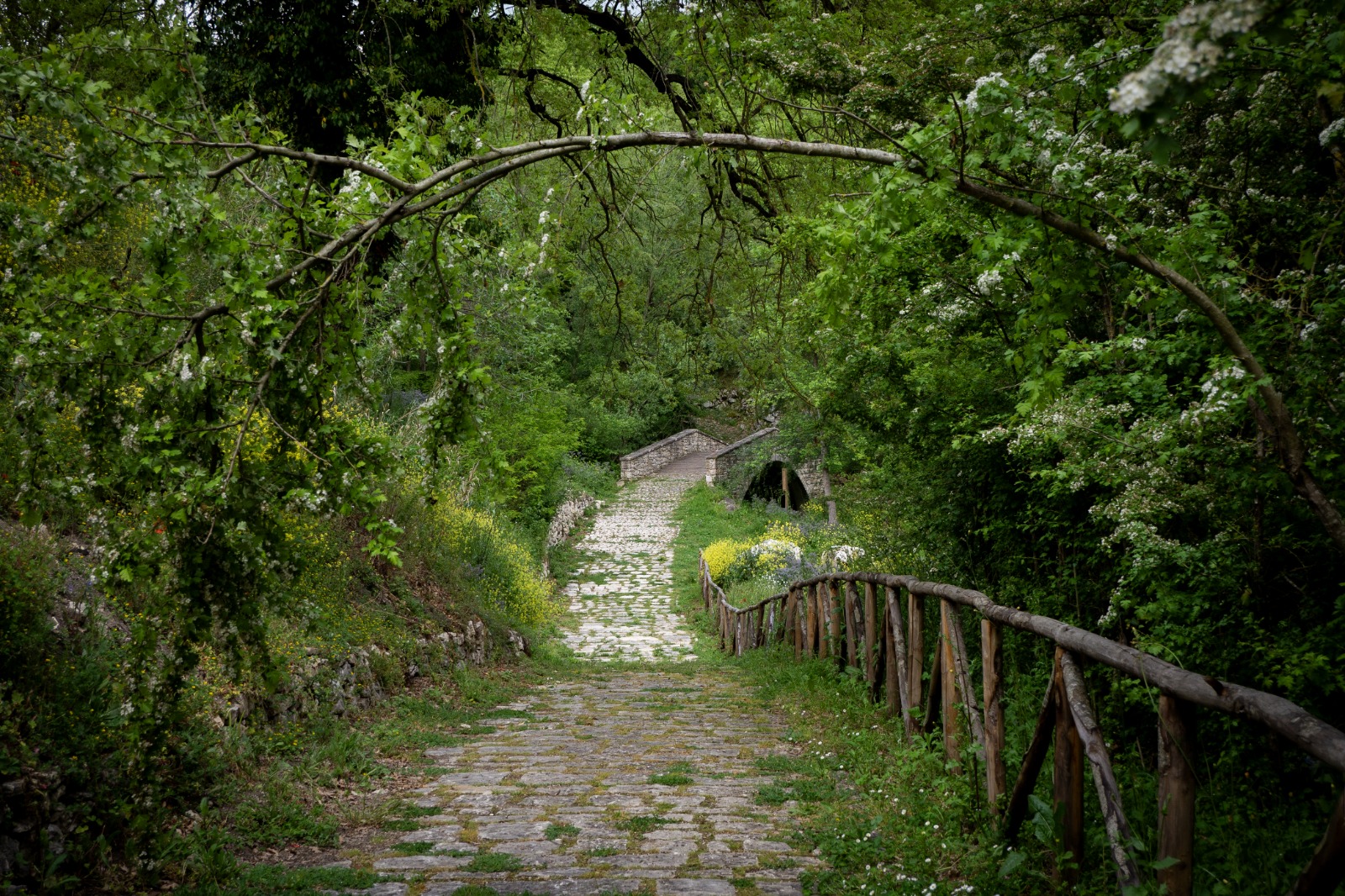 giorgio-lagozino-P3-003