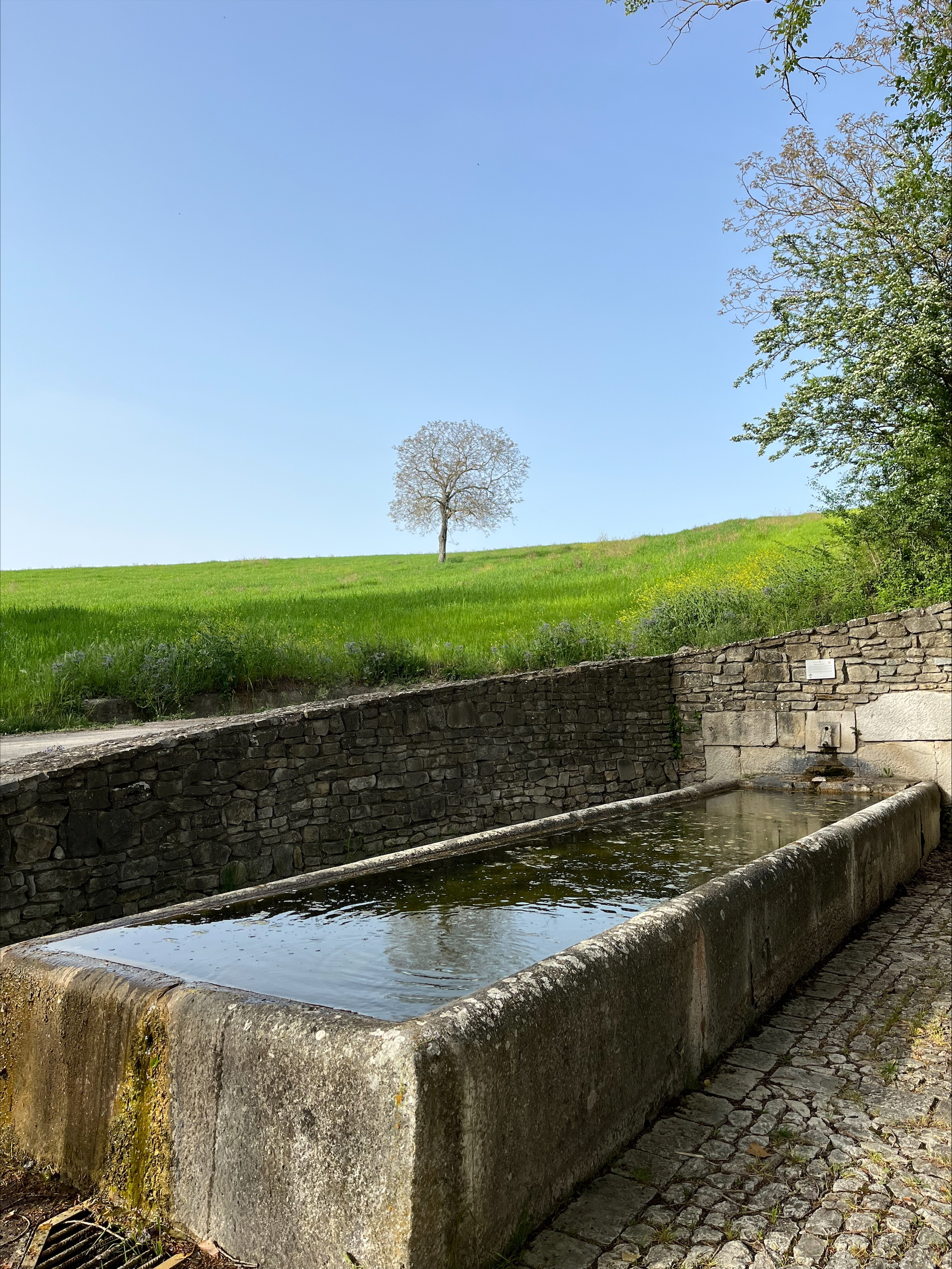 riccardo-lagozino-P7-001